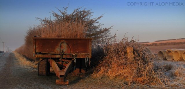 Double click for the money shot